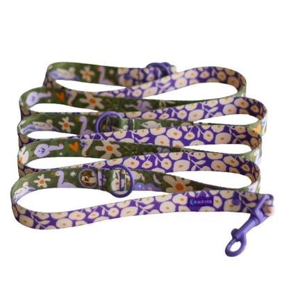 🐶 Laisse 3 points pour chien 250cm (fleurs)