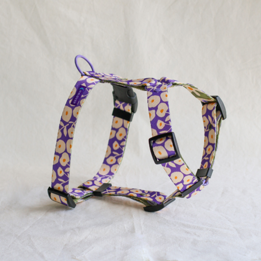 🐶 Harnais pour chien (fleurs) - Hauever
