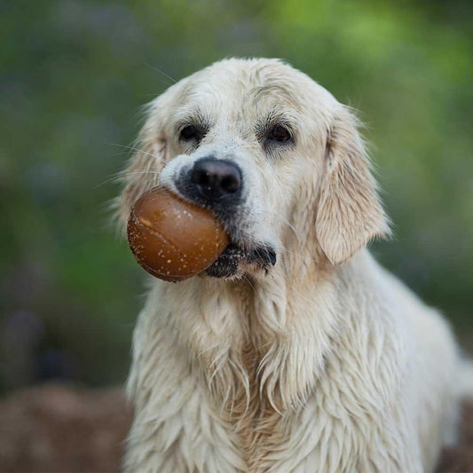 🐶 Balle(s) en résine organique - Les p'tits potes