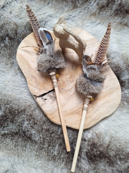 🐱 Canne à plumes