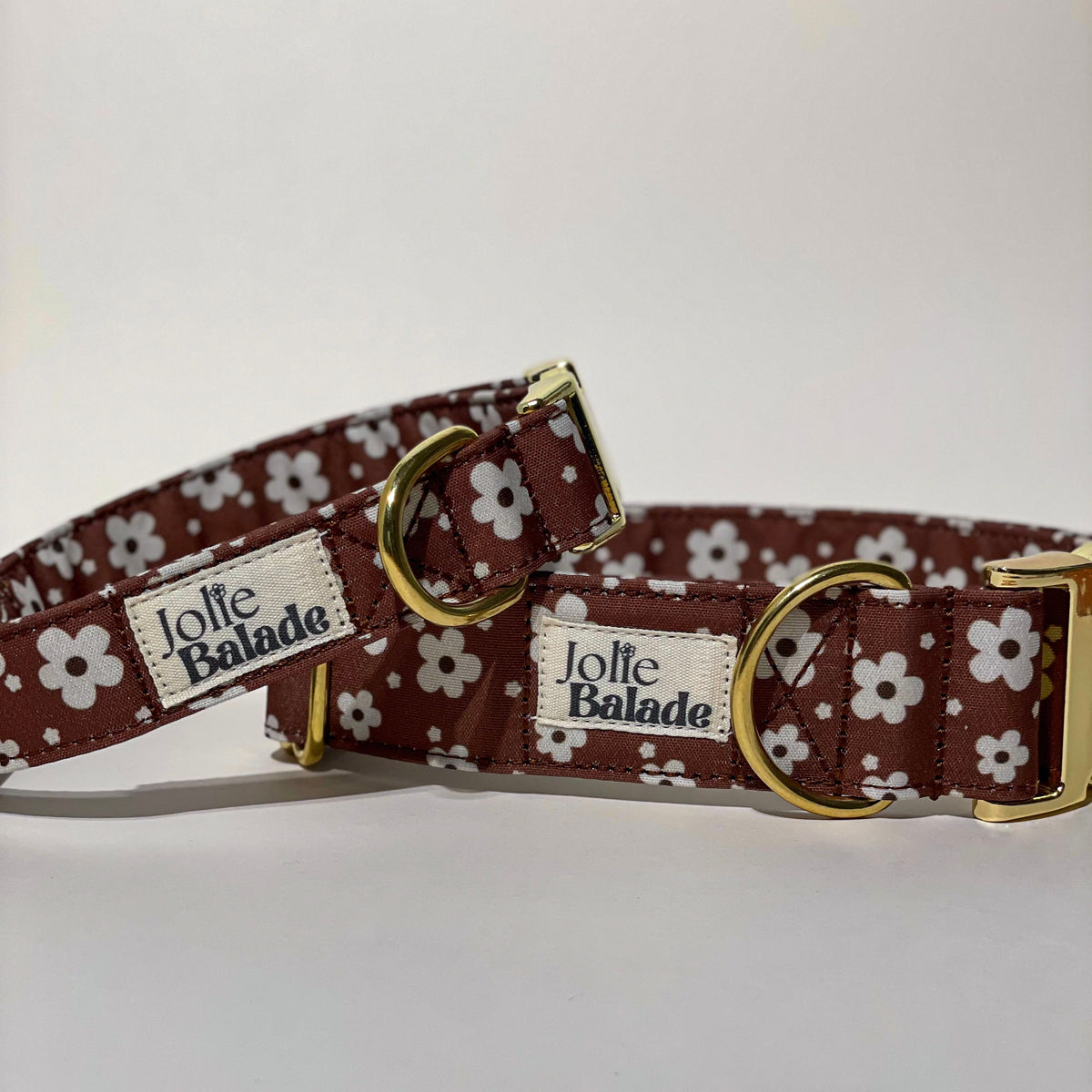 🐶 Collier " BROWNIE " pour chien