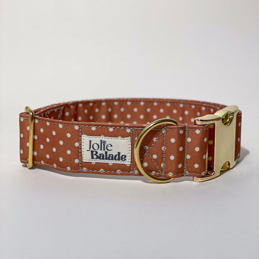 🐶 Collier "CANNELLE" pour chien