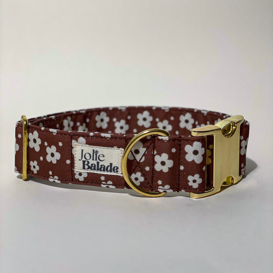 🐶 Collier " BROWNIE " pour chien