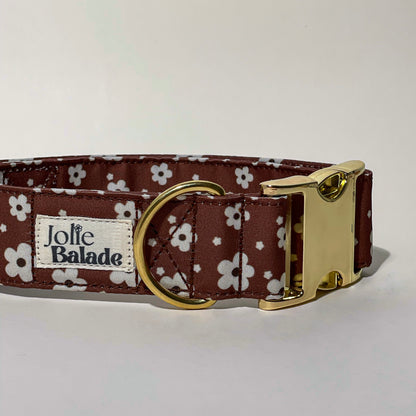 🐶 Collier " BROWNIE " pour chien