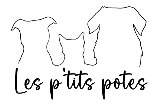 Les p'tits potes