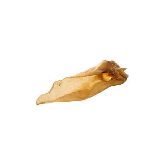 🐶 Petite oreilles de cerf