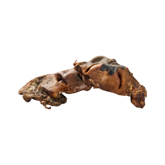 🐶 Museau de bœuf