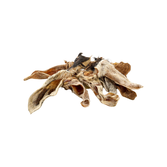 🐶 Oreilles d'agneau avec poils
