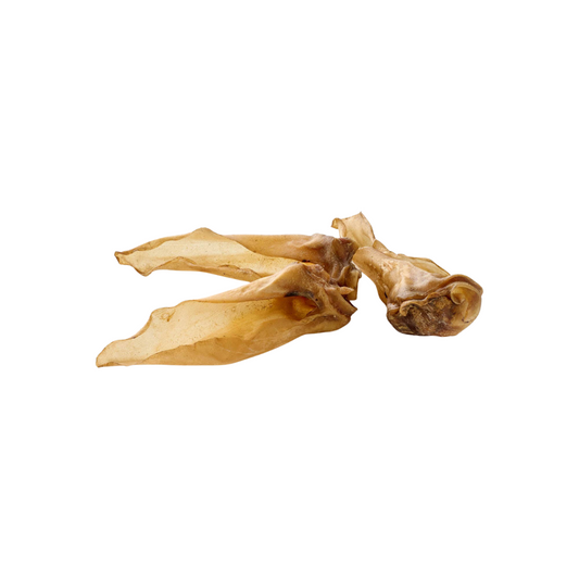 🐶 Petite oreilles de cerf