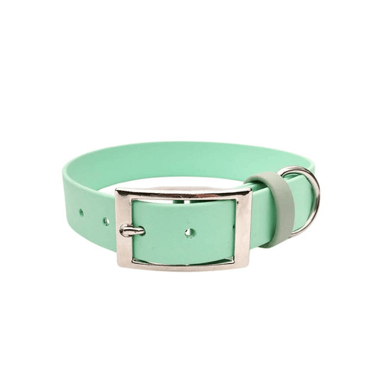 🐶 Collier en Biothane (Menthe) - Les p'tits potes