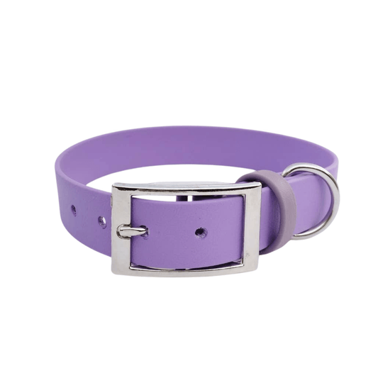 🐶 Collier en Biothane (Aubergine) - Les p'tits potes