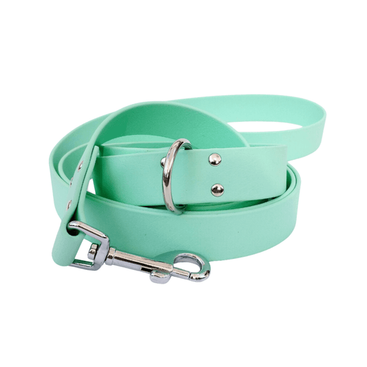 🐶 Laisse bandoulière en Biothane (Menthe) - Les p'tits potes