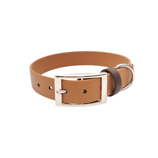 🐶 Collier en Biothane (Noisette) - Les p'tits potes
