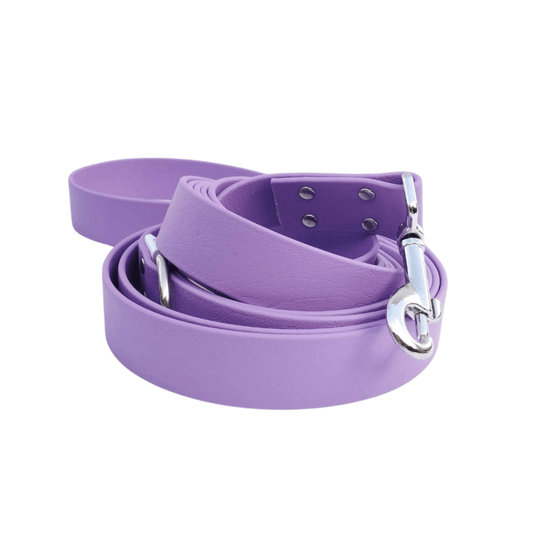 🐶 Laisse bandoulière en Biothane (Aubergine) - Les p'tits potes