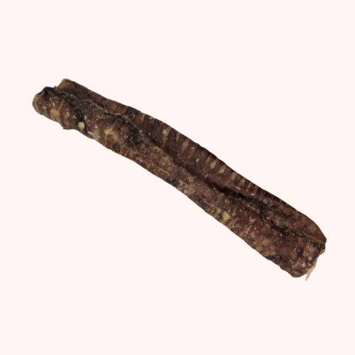 🐶 Trachée de bœuf 30 cm pour chien