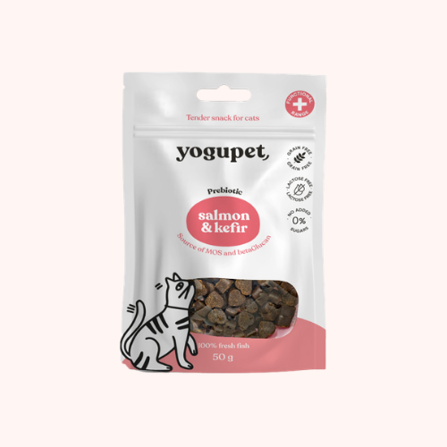 🐱 Friandises tendres saumon et kéfir pour chat
