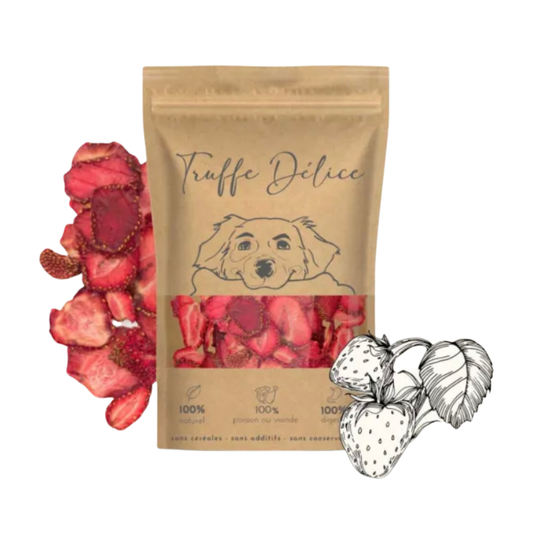 🐶 Fraises déshydratées