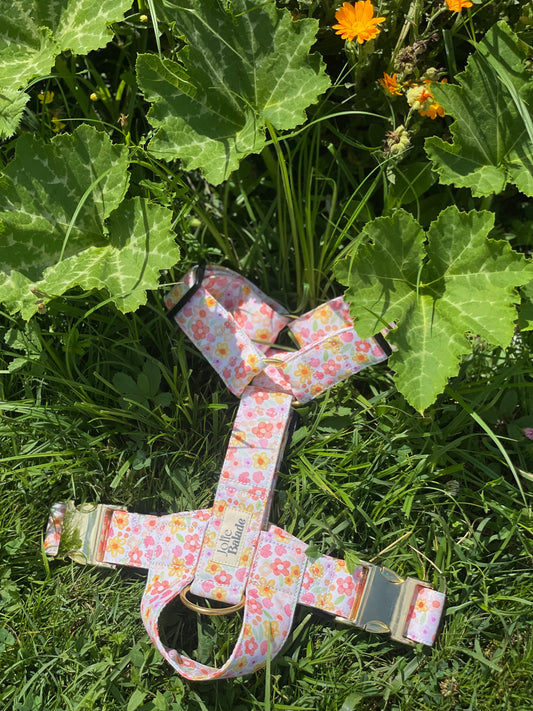 🐶 Harnais "AQUARELLA"
