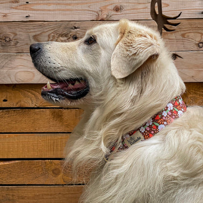 🐶 Collier "FRAISES DES BOIS"