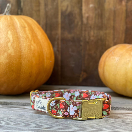🐶 Collier "FRAISES DES BOIS"