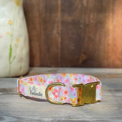 🐶 Collier "AQUARELLA"