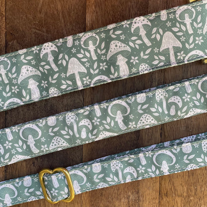 🐶 Collier "CHAMPIGNON"