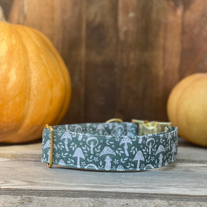 🐶 Collier "CHAMPIGNON"