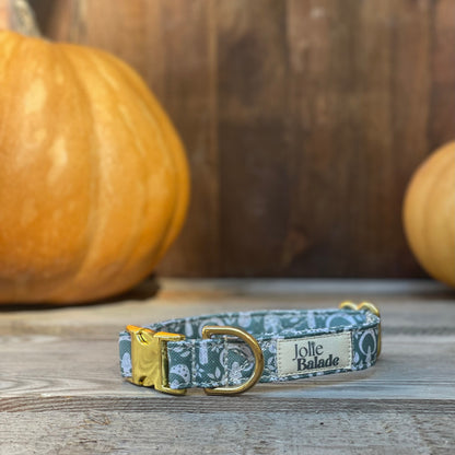 🐶 Collier "CHAMPIGNON"