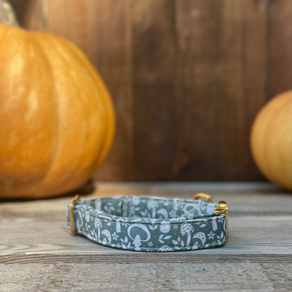 🐶 Collier "CHAMPIGNON"