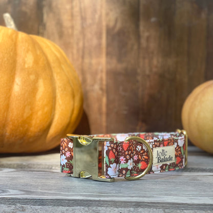 🐶 Collier "FRAISES DES BOIS"