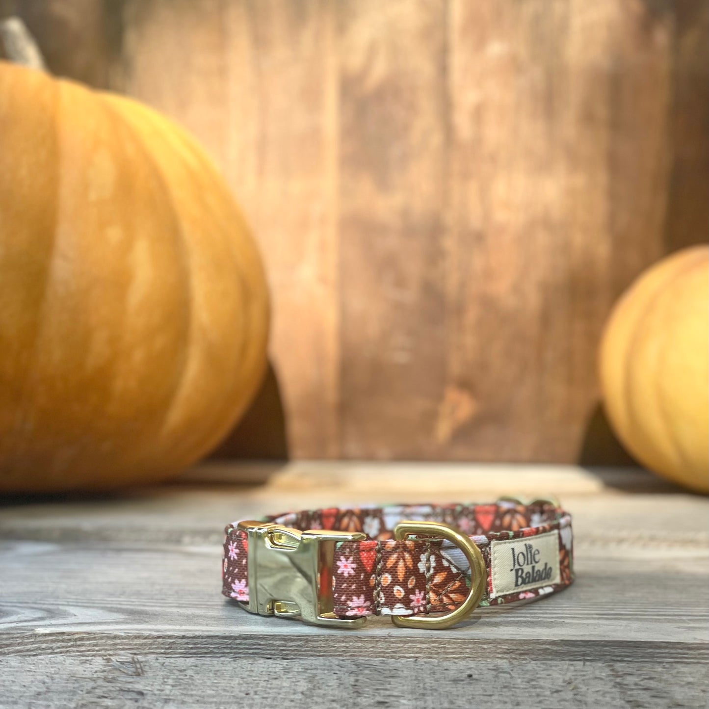 🐶 Collier "FRAISES DES BOIS"