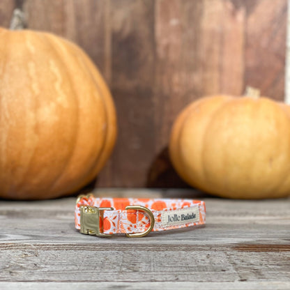 🐶 Collier "CITROUILLE"