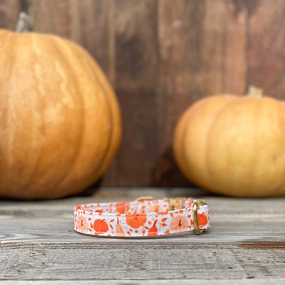 🐶 Collier "CITROUILLE"