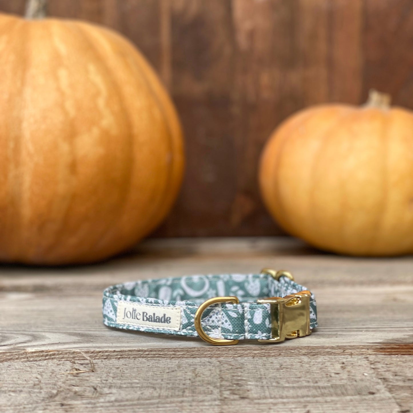 🐶 Collier "CHAMPIGNON"