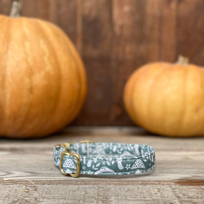 🐶 Collier "CHAMPIGNON"