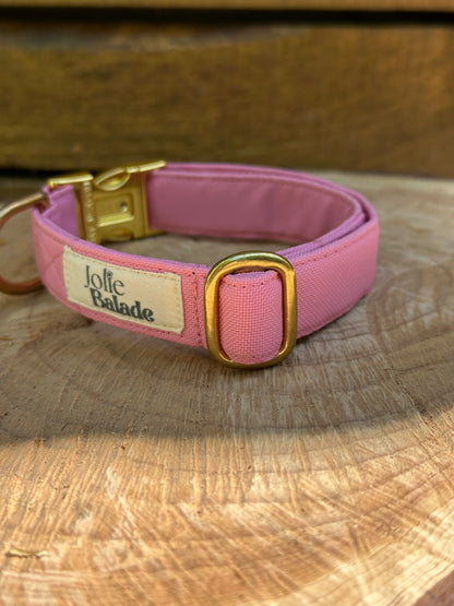 🐶 Collier en tissu imperméable pour chiens – Jolie Balade