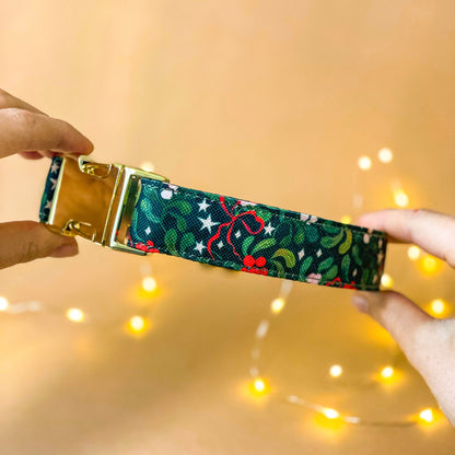 🐶 Collier "HOLLY"