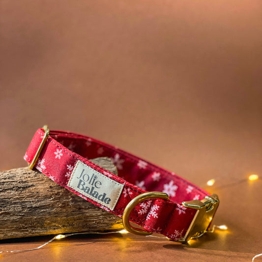 🐶 Collier "FLOCON"