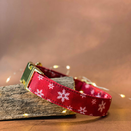 🐶 Collier "FLOCON"