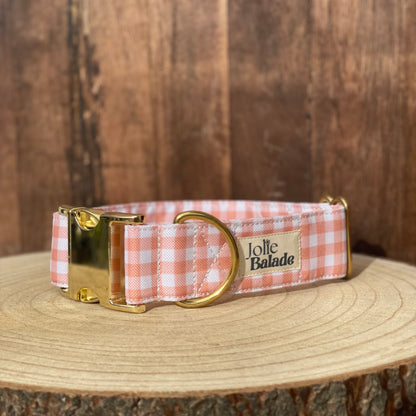 🐶 Collier "VICHY BEIGE"