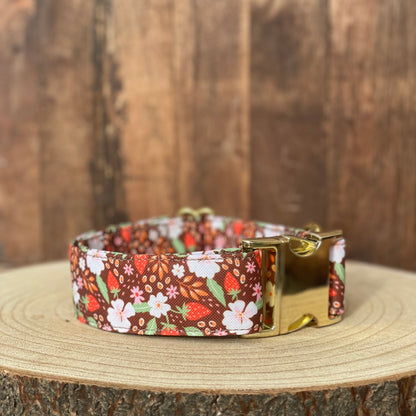 🐶 Collier "FRAISES DES BOIS"