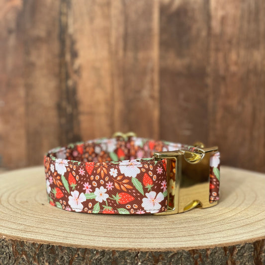 🐶 Collier "FRAISES DES BOIS"
