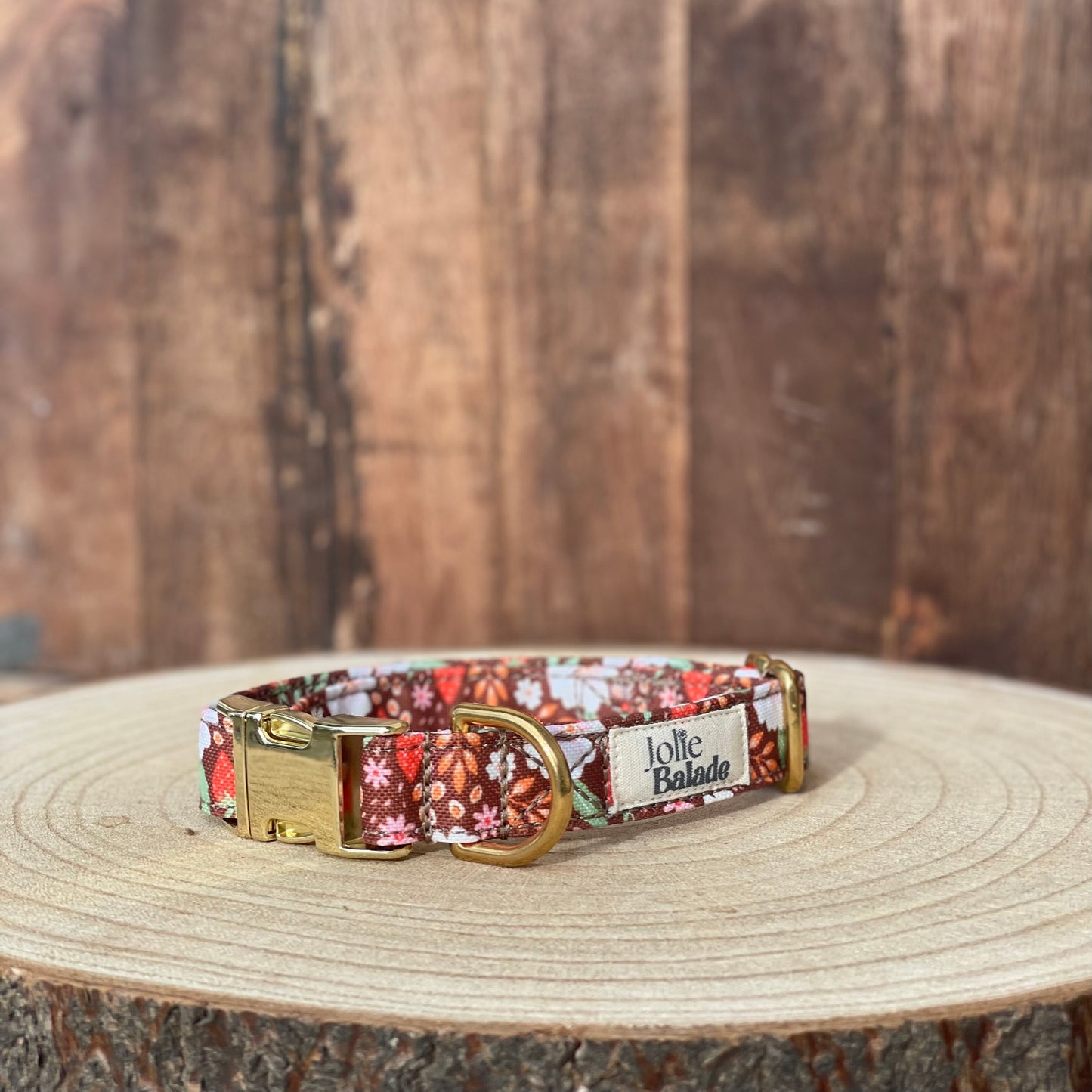 🐶 Collier "FRAISES DES BOIS"