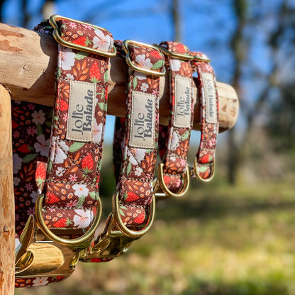 🐶 Collier "FRAISES DES BOIS"
