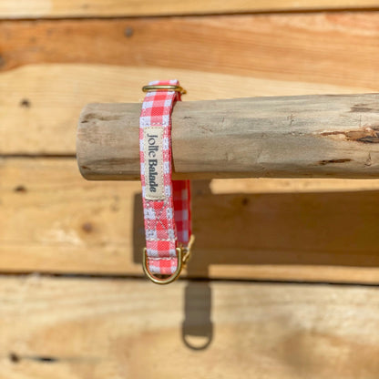 🐶 Collier " VICHY ROUGE"