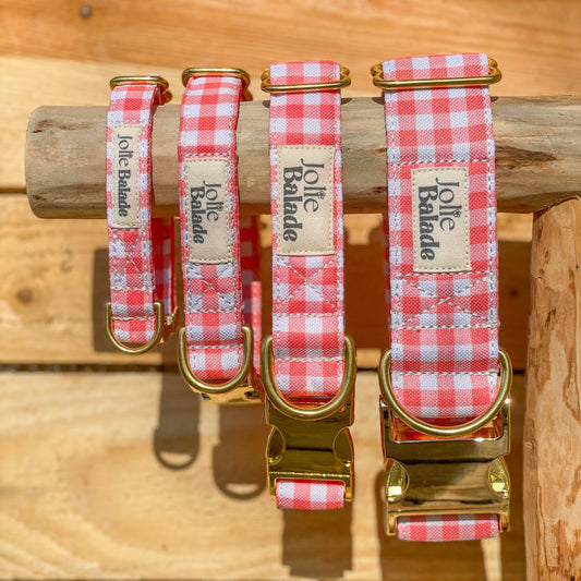 🐶 Collier " VICHY ROUGE"