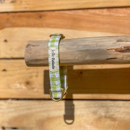 🐶 Collier "VICHY VERT"