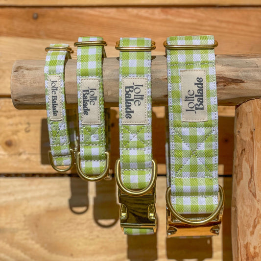 🐶 Collier "VICHY VERT"