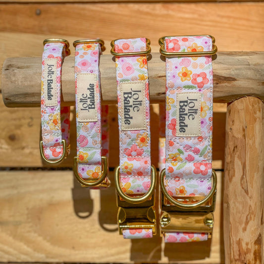 🐶 Collier "AQUARELLA"