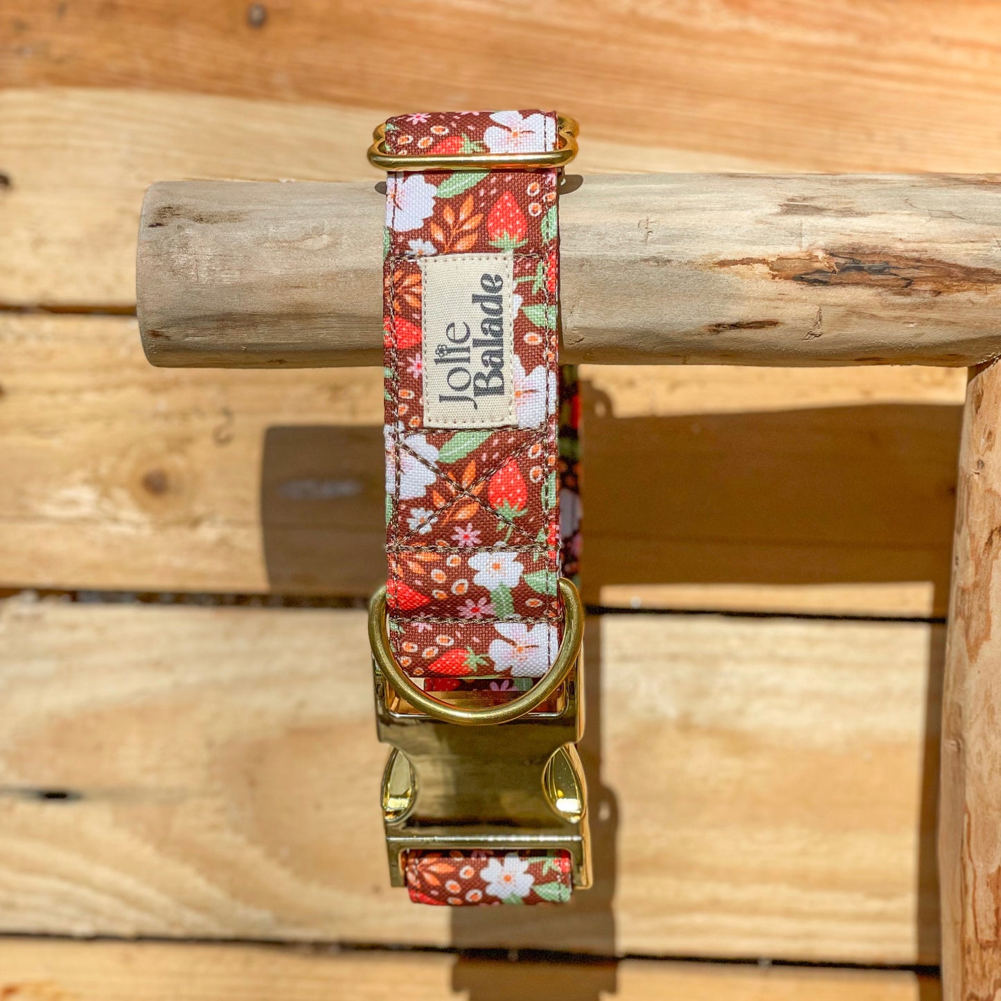 🐶 Collier "FRAISES DES BOIS"